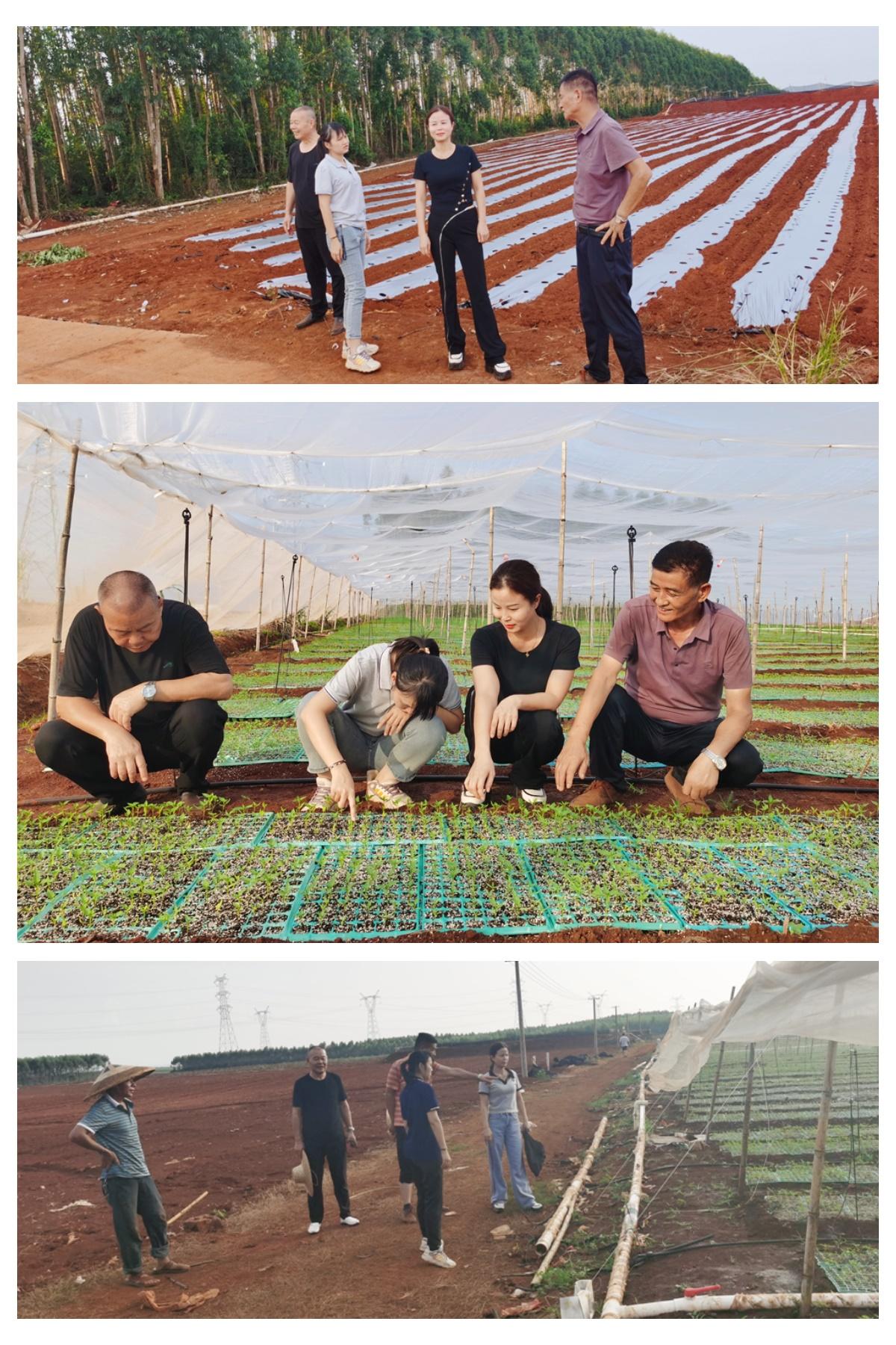 AG真人国际(中国) - 官方网站