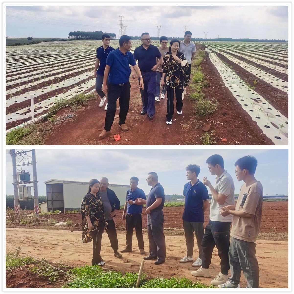 AG真人国际(中国) - 官方网站