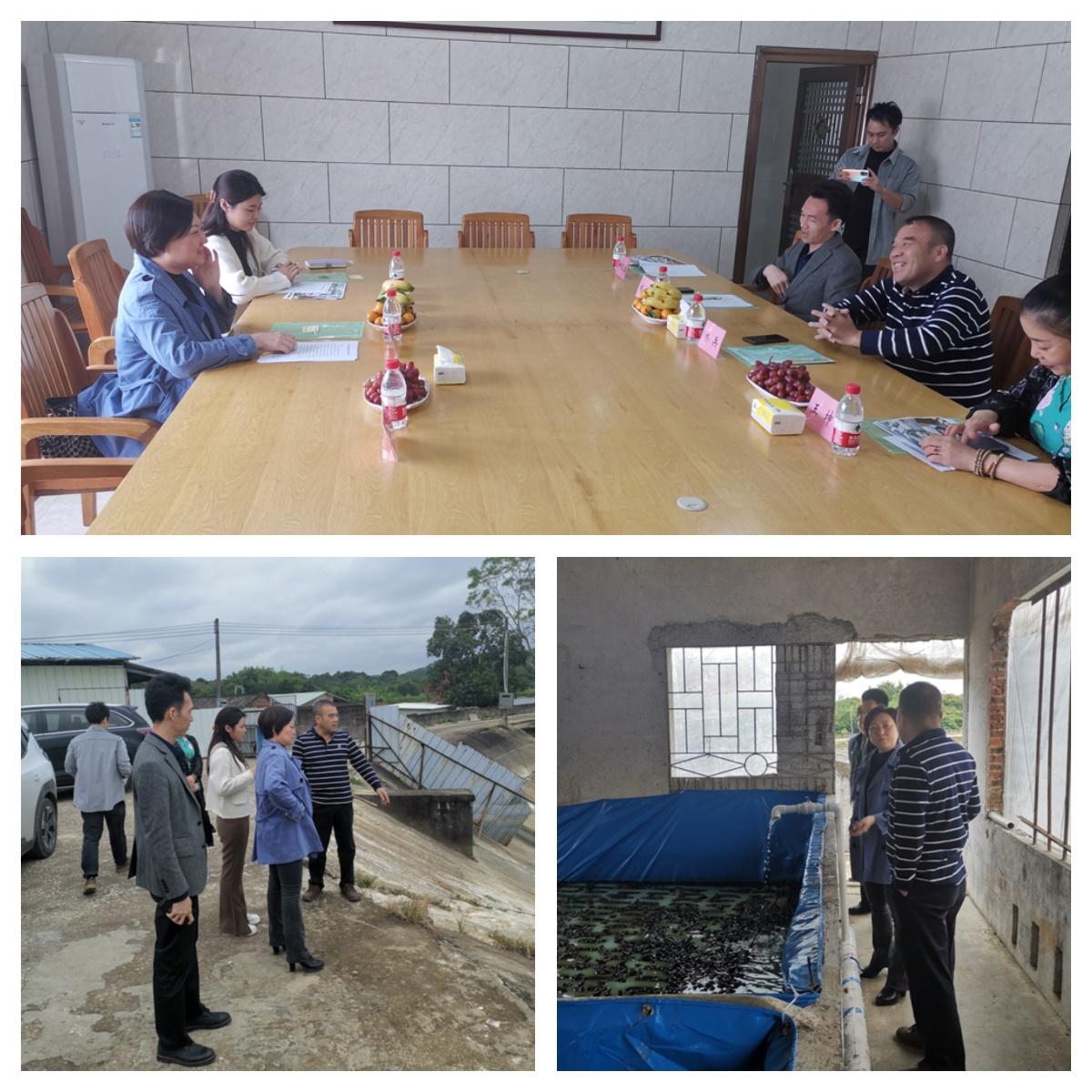 AG真人国际(中国) - 官方网站