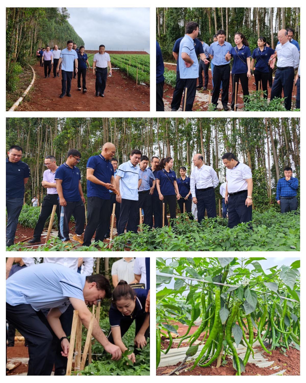 AG真人国际(中国) - 官方网站