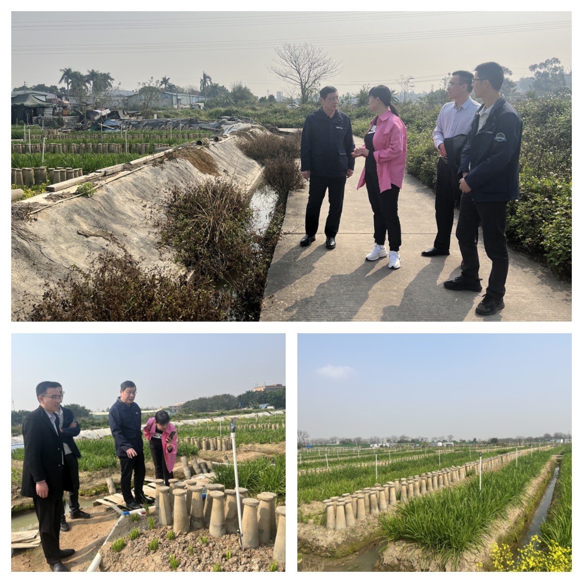 AG真人国际(中国) - 官方网站