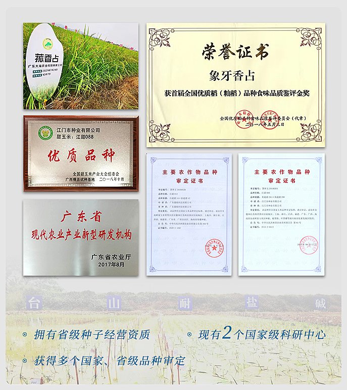 AG真人国际(中国) - 官方网站