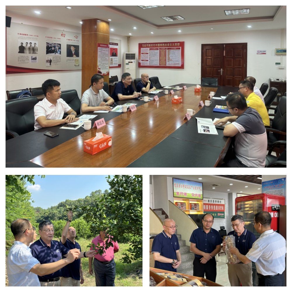 AG真人国际(中国) - 官方网站