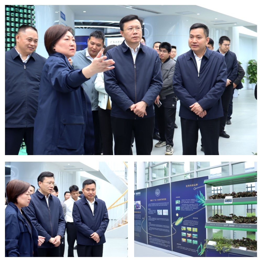 AG真人国际(中国) - 官方网站