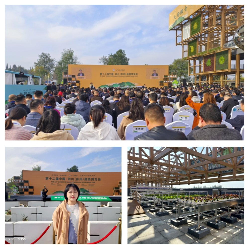 AG真人国际(中国) - 官方网站