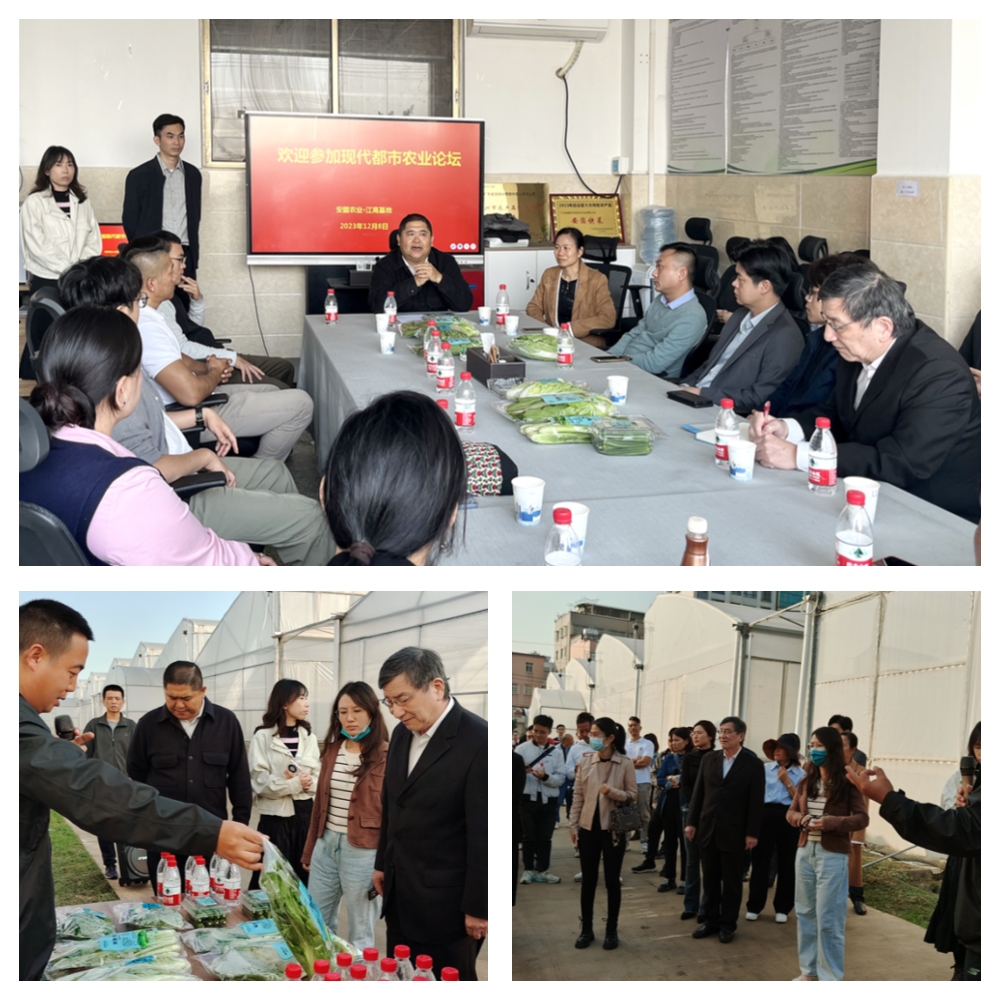 AG真人国际(中国) - 官方网站