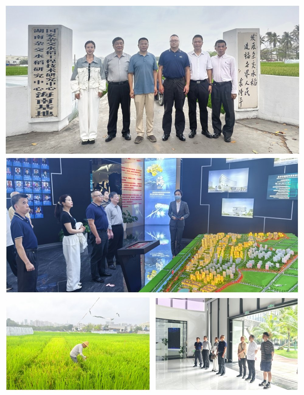 AG真人国际(中国) - 官方网站