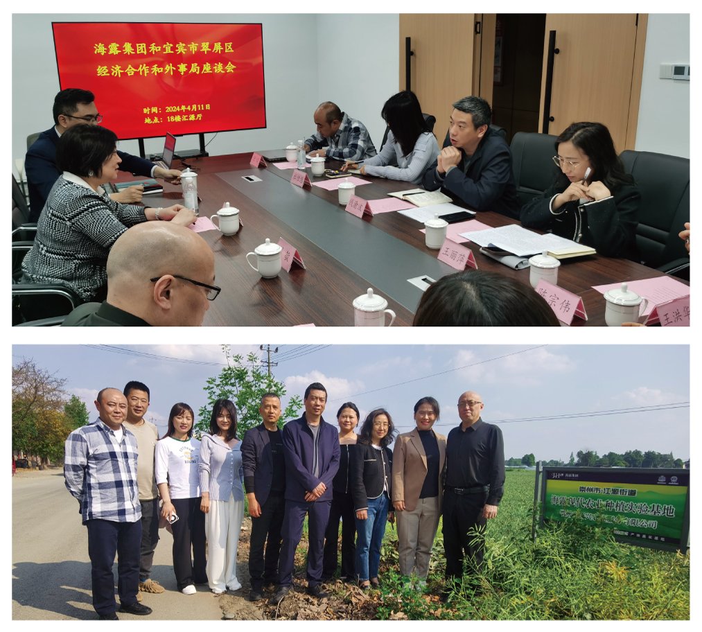 AG真人国际(中国) - 官方网站