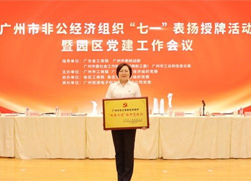 标杆引领，荣誉升级！集团党支部荣膺广州市非公有造经济组织“双强六好”标