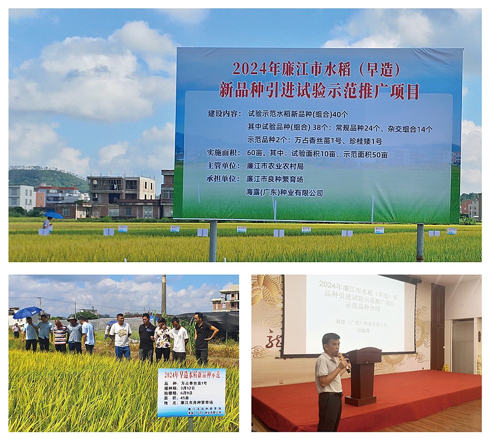 AG真人国际(中国) - 官方网站