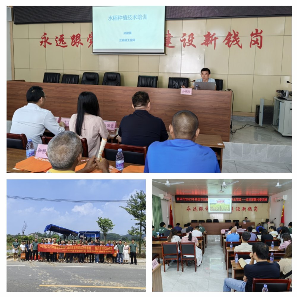 AG真人国际(中国) - 官方网站