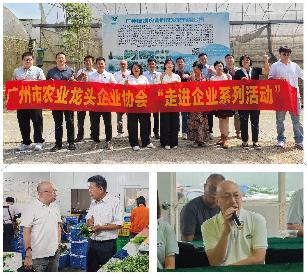 AG真人国际(中国) - 官方网站