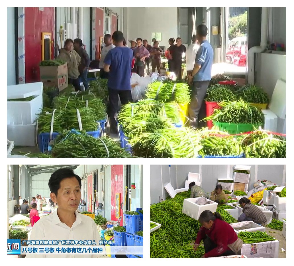 AG真人国际(中国) - 官方网站