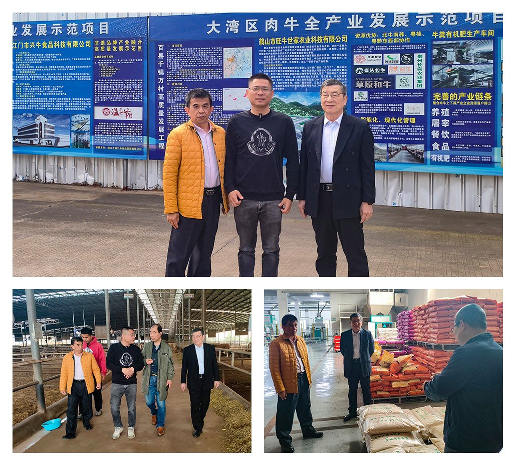 AG真人国际(中国) - 官方网站