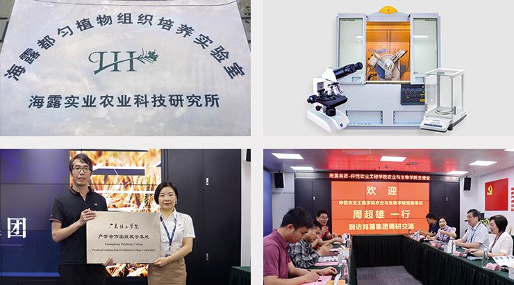 AG真人国际(中国) - 官方网站