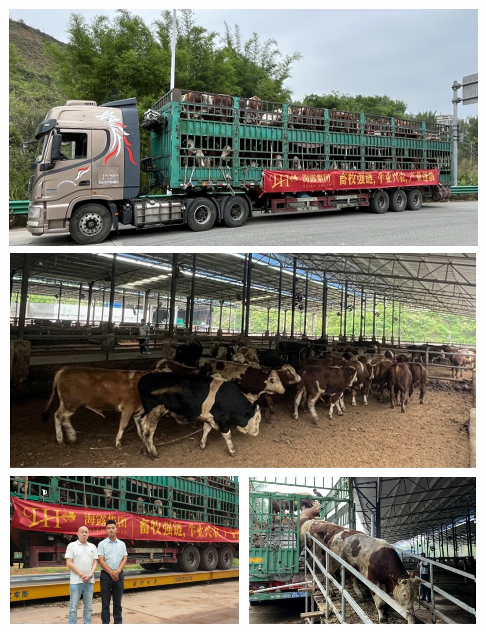 AG真人国际(中国) - 官方网站