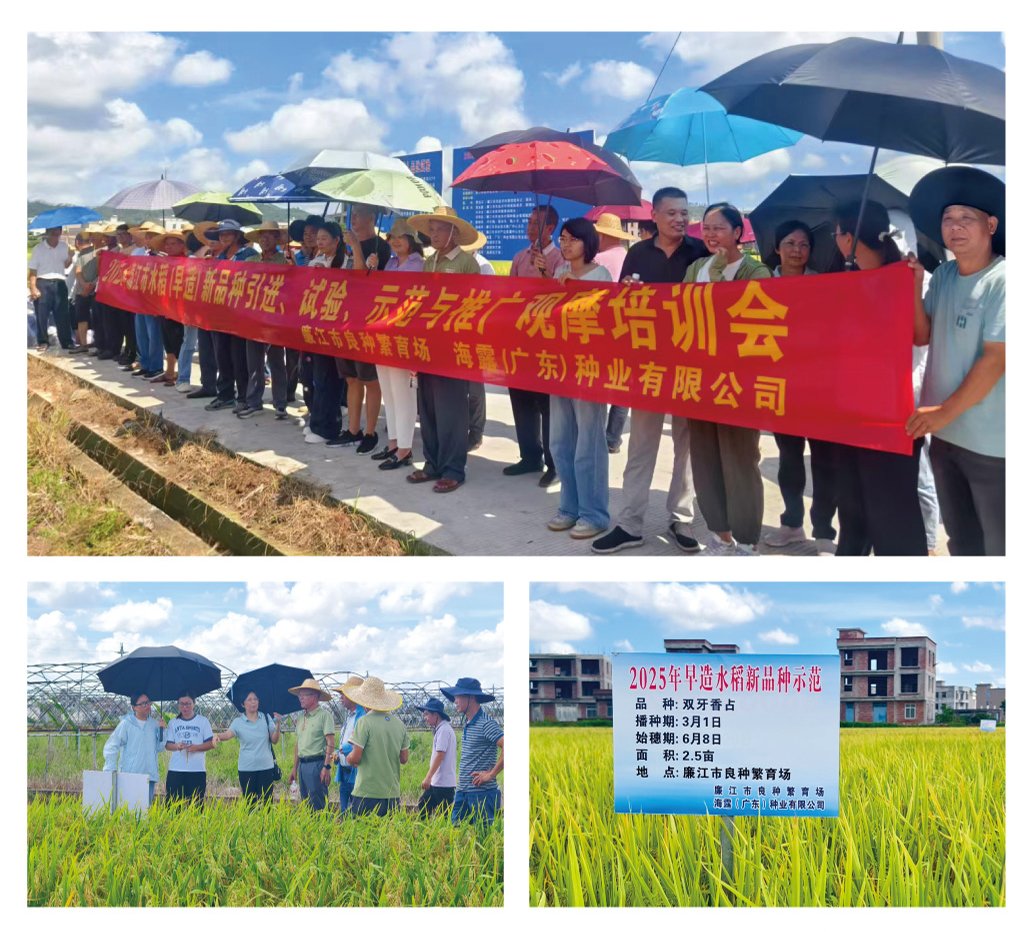 AG真人国际(中国) - 官方网站