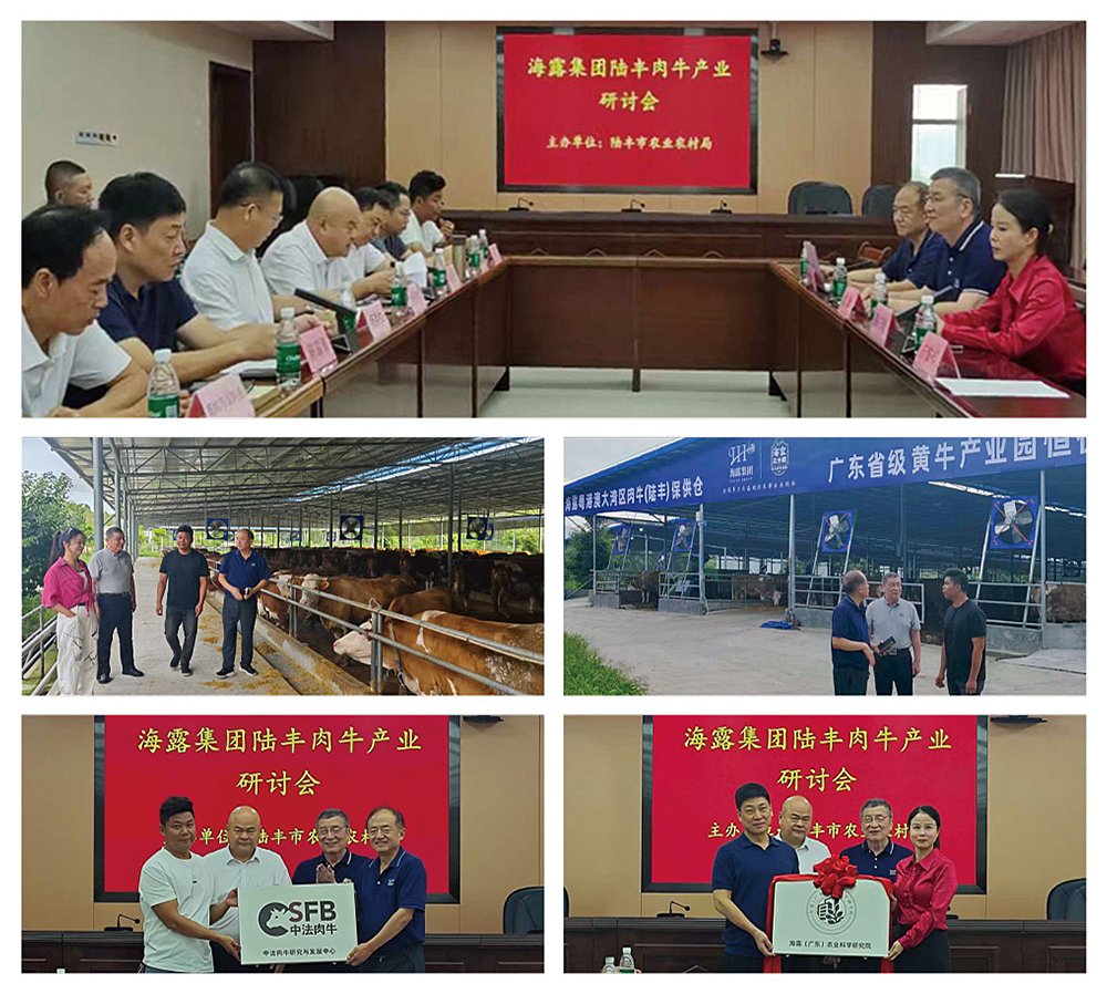 AG真人国际(中国) - 官方网站