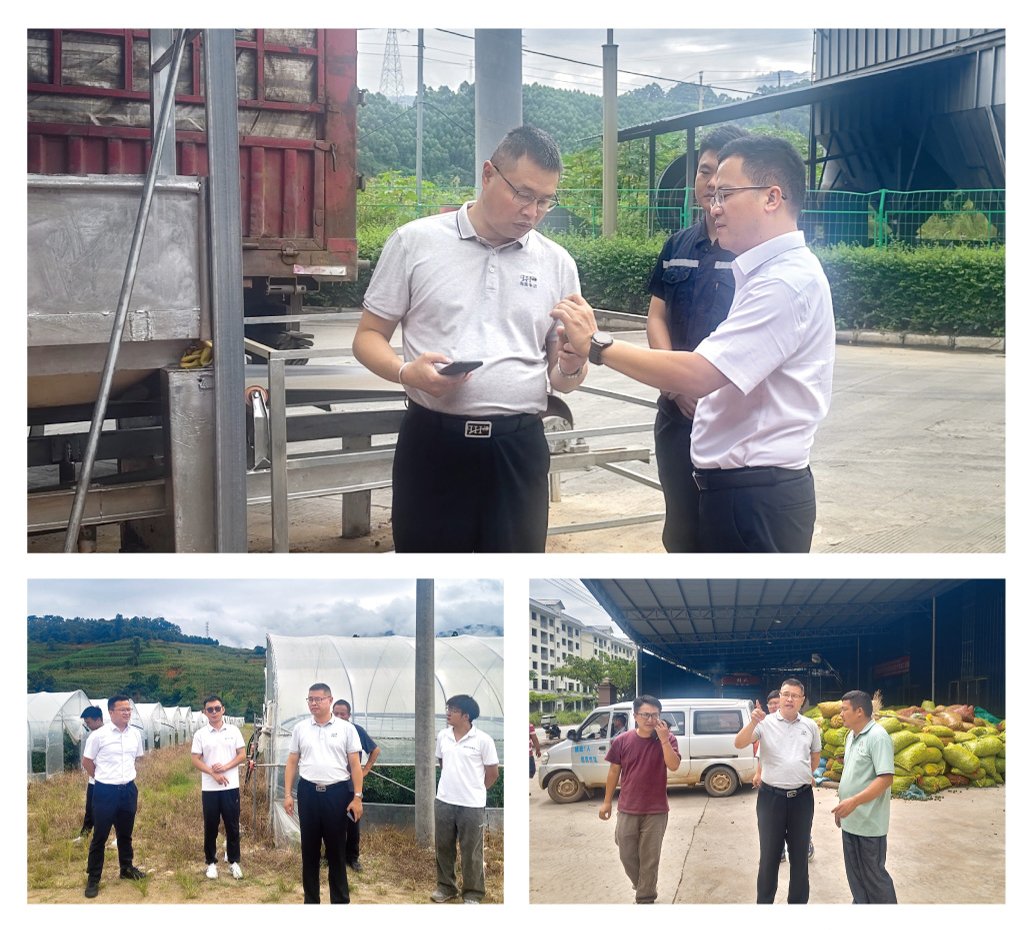 AG真人国际(中国) - 官方网站