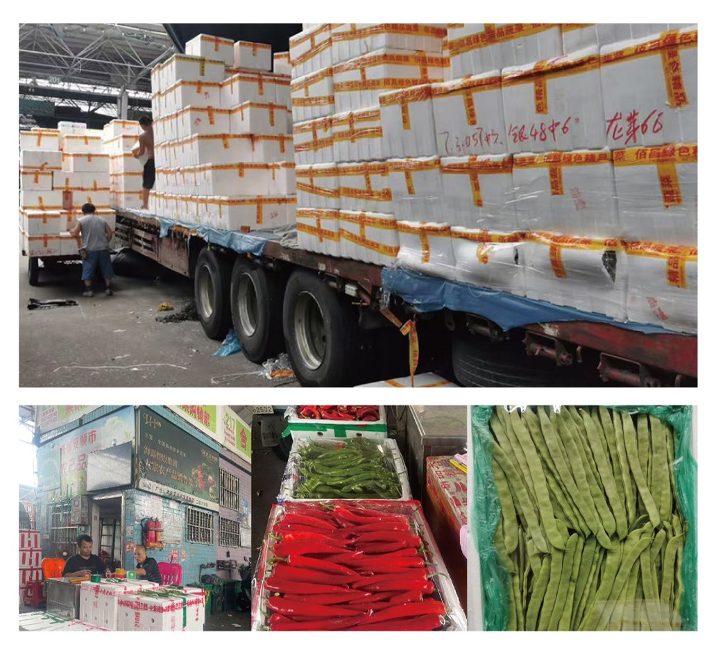 AG真人国际(中国) - 官方网站