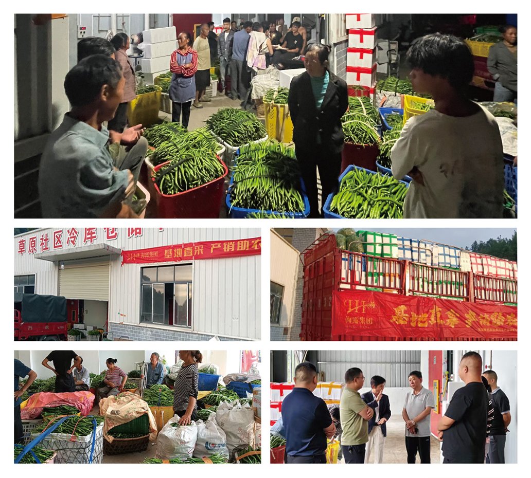 AG真人国际(中国) - 官方网站