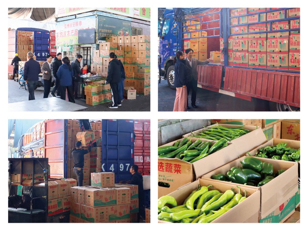 AG真人国际(中国) - 官方网站