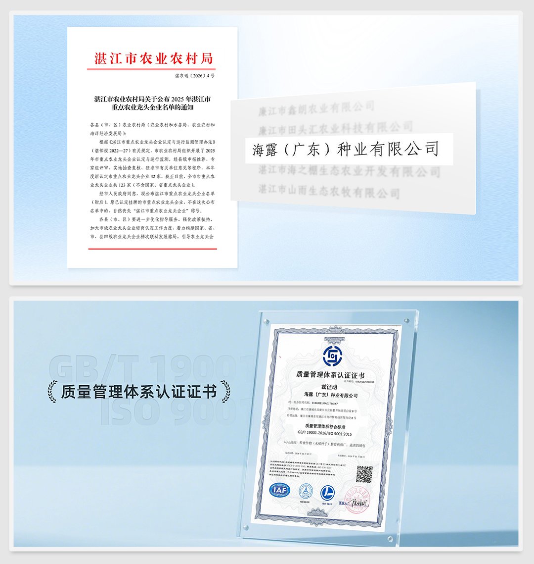 AG真人国际(中国) - 官方网站